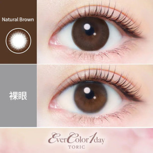 Ever Color TORIC散光 1Day – Natural Brown 日拋 每盒20片